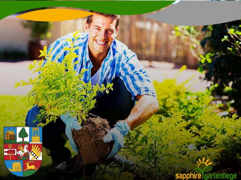 Heckenschnitt 1220 Wien - Donaustadt