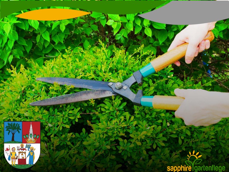 Heißwasser Unkrautbekämpfung 1040 Wien - Wieden