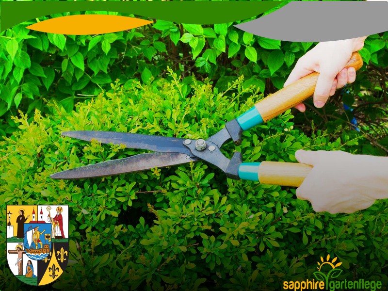 Heißwasser Unkrautbekämpfung 1060 Wien - Mariahilf